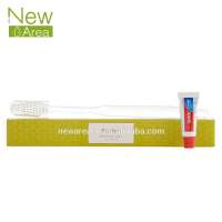 highly ranked new product wholesale hotel dental kit toothbrush with toothpaste